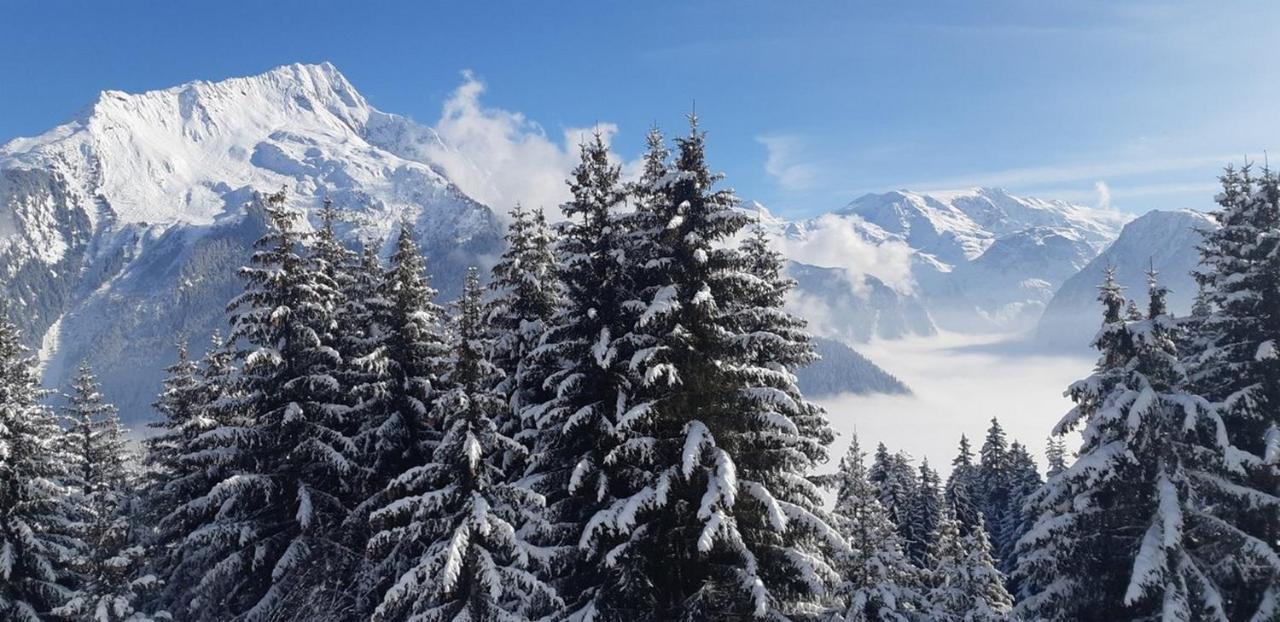 Les Glieres - Champagny-En-Vanoise ลาปลาญ ภายนอก รูปภาพ